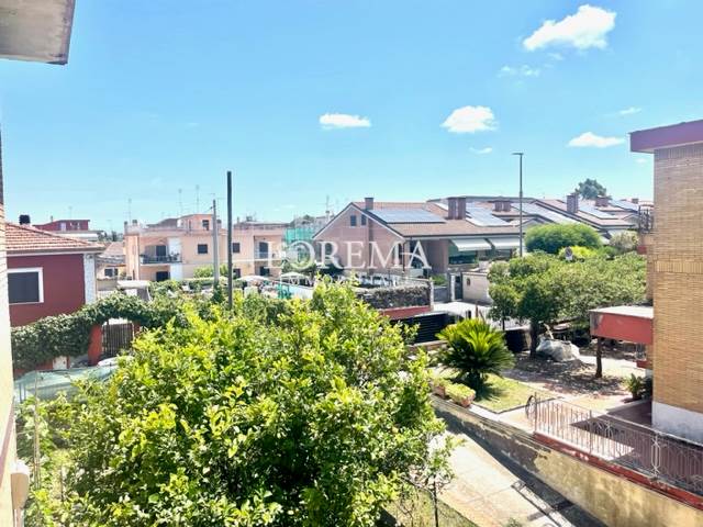 vista